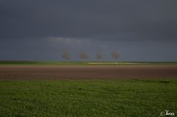 Netjes op een rij Oost Groningen, Oldambt