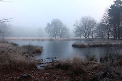 Wandelen met prachtig weer in een prachtig gebied. Sellingen, Westerwolde