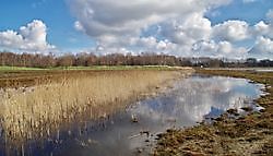 Heemtuin Muntendam Muntendam, Midden-Groningen