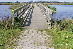 Dannenmeer Sellingen, Westerwolde