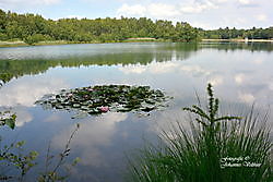 recreatie Sellingerbeetse, Westerwolde