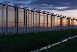 Kassen in Noordbroek Groningen, Midden-Groningen