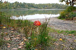 herfst Sellingen, Westerwolde