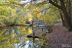 herfst kleuren langs de oude Ruiten - A in Sellingen Sellingen, Westerwolde