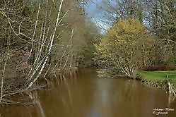 wandelen Sellingen, Westerwolde