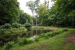 Bosvijver in kloosterbos in Ter Apel 't Heem, Aa en Hunze