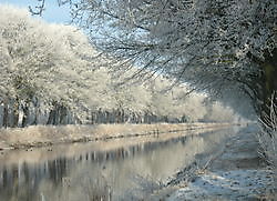 bevroren mist langs het Tijdenskanaal Bellingwolde, Westerwolde