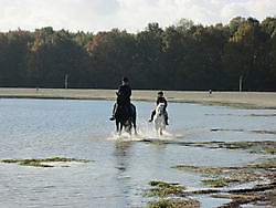 Municipality Oldambt East Groningen