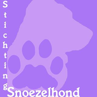 Stichting Snoezelhond Finsterwolde