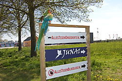 JUNAI Nieuwe Pekela