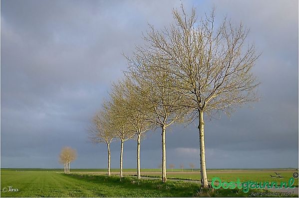 Ontdek de Carel Coenraadpolder