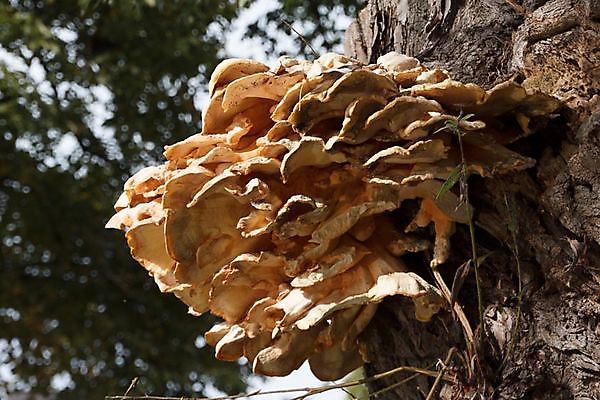 Heerlijke herfstdingen in Oost-Groningen!