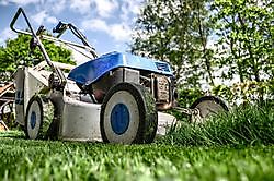 De voordelen van gras in je tuin