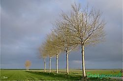 Ontdek de Carel Coenraadpolder