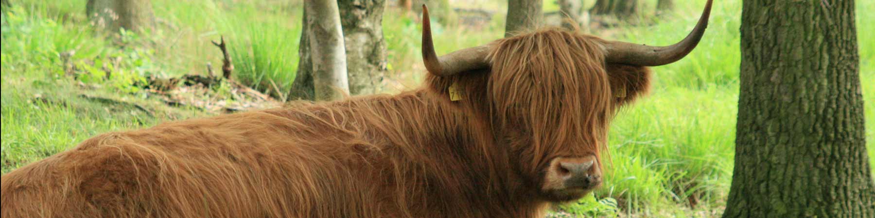 Fotograaf: Kris fotomedia