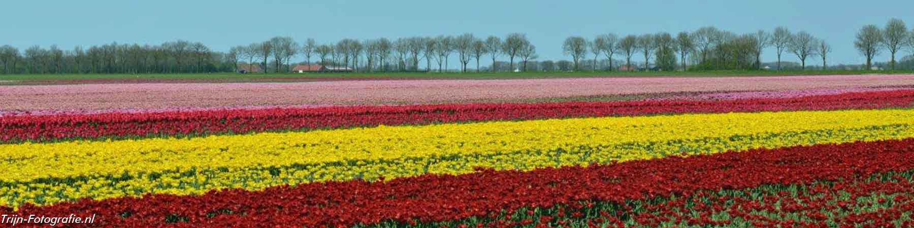 Polder Nieuwolda