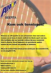 Komt u ook Tennissen? Beerta