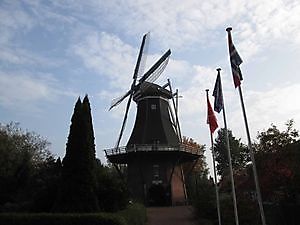 Molen de Korenbloem Vriescheloo