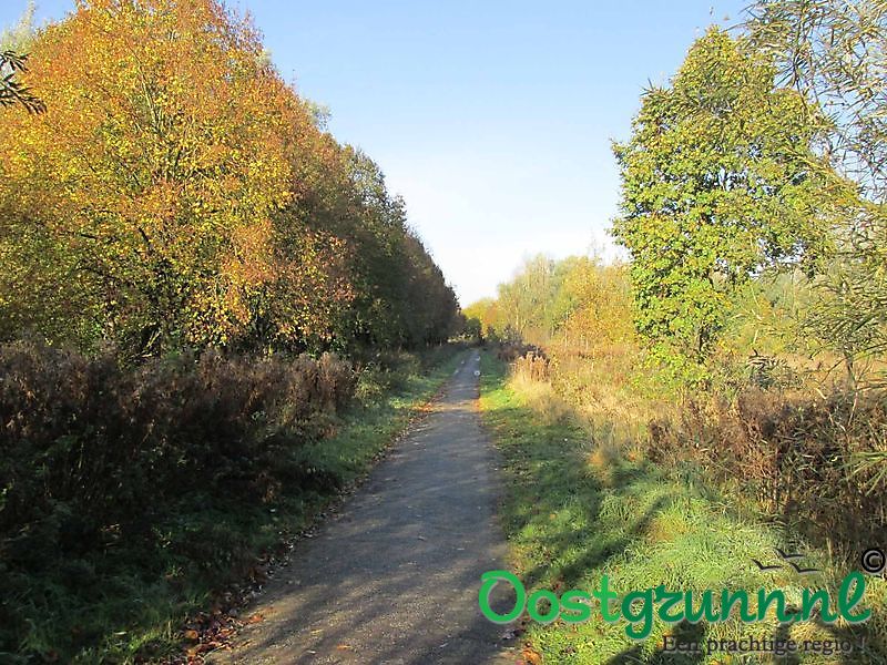 Nieuwe Schanskerbos Bad Nieuweschans