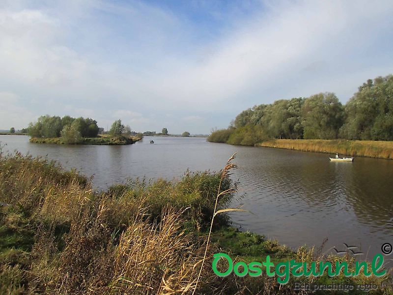 Bos op Houwingaham / Kuurbos Bad Nieuweschans