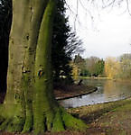 Rijksmonument Julianapark Stadskanaal Stadskanaal