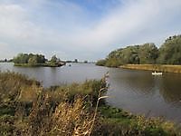 ToerismeBos op Houwingaham / Kuurbos Bad Nieuweschans