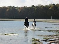 Strand Noordrand Midwolda